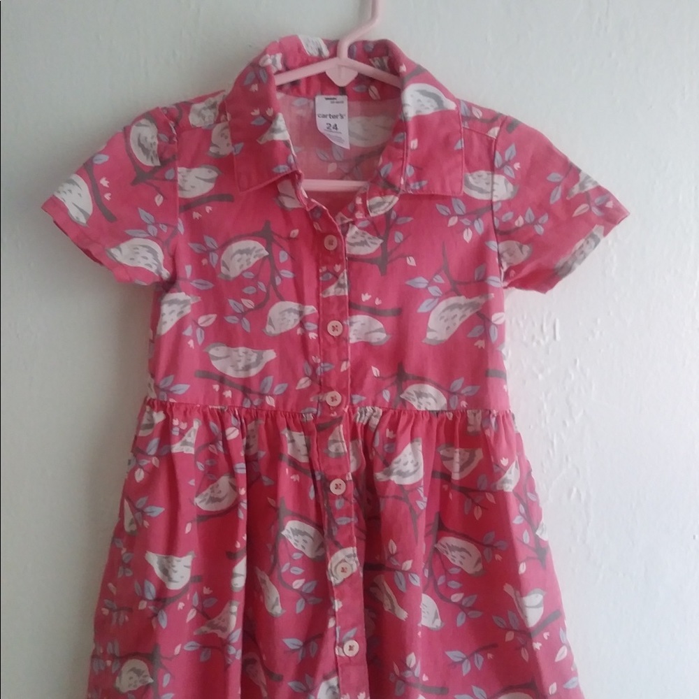 Carter’s Spring dress 24 months